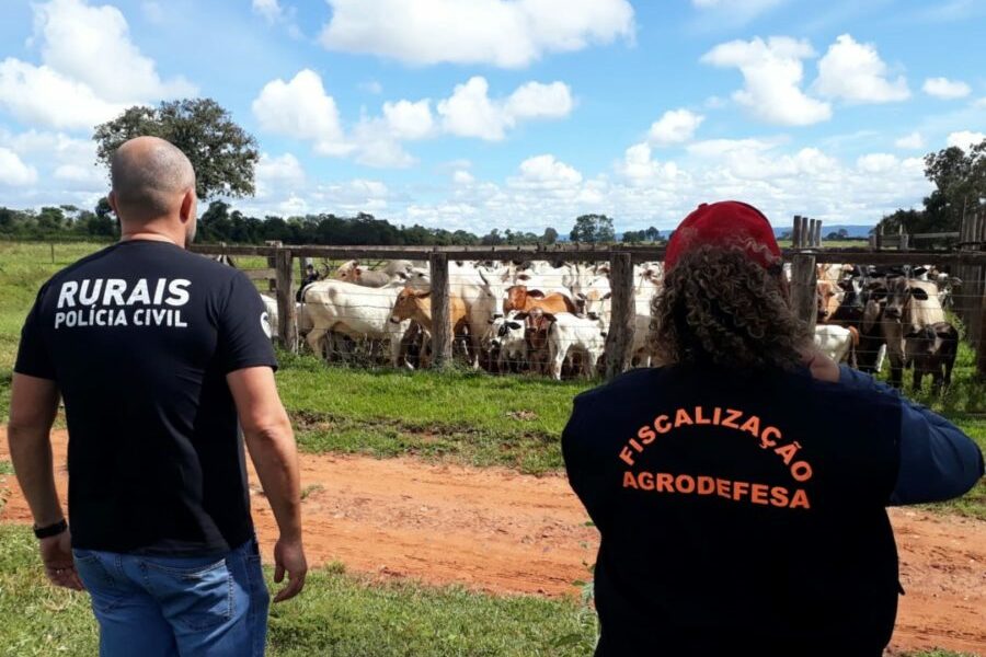 Polícia Civil e Agrodefesa investigam furtos de gado em fazendas