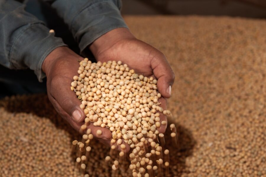 Com 30 milhões de toneladas, Goiás terá novo recorde na produção de grãos