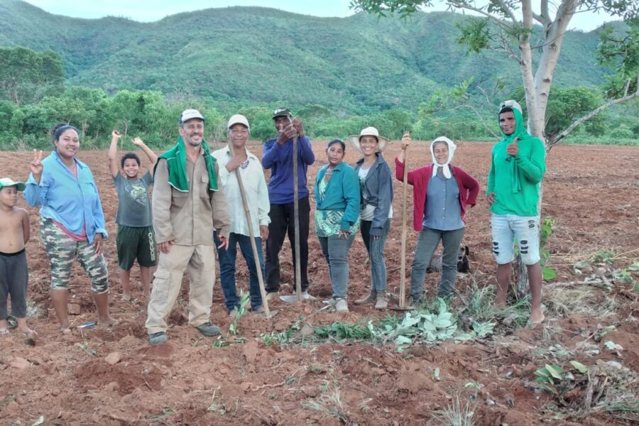 Mulheres no agro: força, capacidade e espírito empreendedor