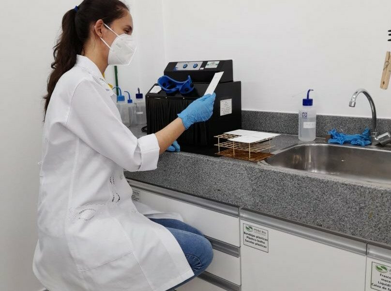 Estudo vai avaliar os possíveis efeitos da exposição dos animais aos nanoplásticos
