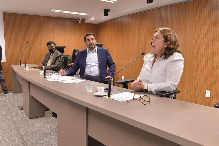 Seduc apresenta balanço da Educação Especial em Goiás em audiência pública