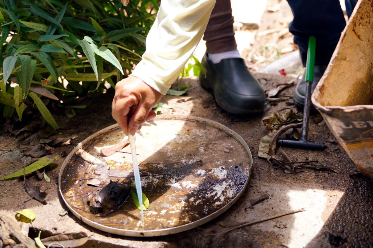 Governos de Goiás e do DF unem esforços contra ‘Aedes aegypti’ no entorno