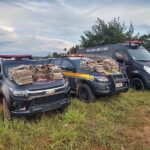 Em ação integrada, PMGO e PRF apreendem 300 kg de maconha, em Aragoiânia