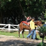 Passaporte Equestre substitui nota fiscal no trânsito de animais