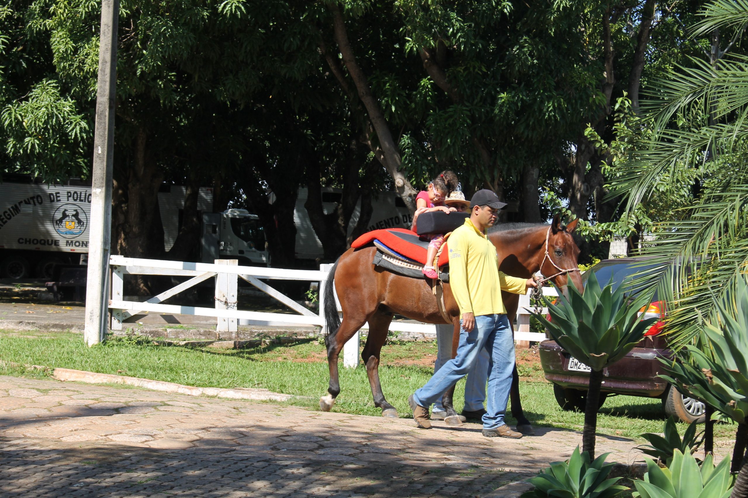 Passaporte Equestre substitui nota fiscal no trânsito de animais