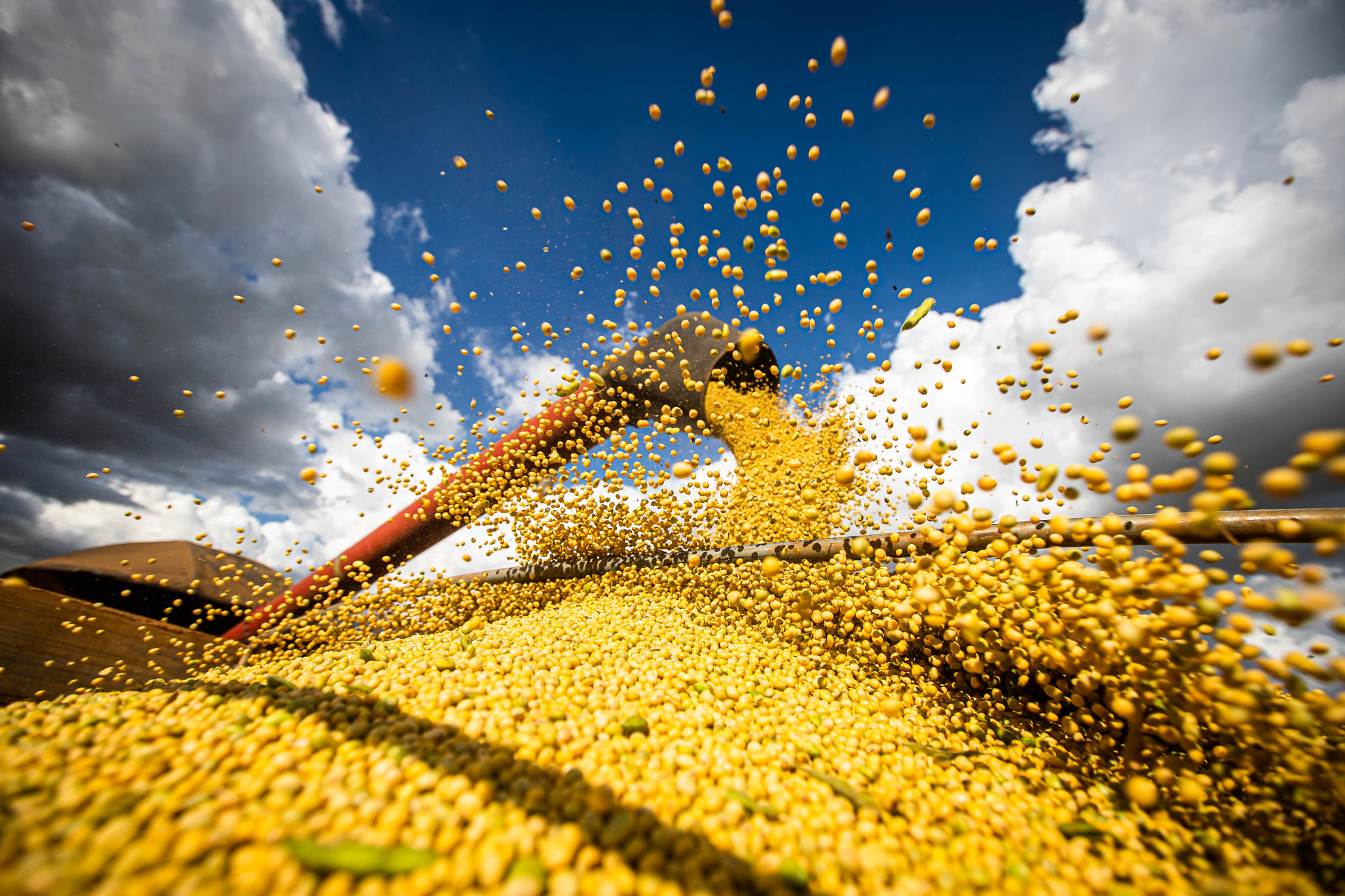 Com R$ 1,2 bi, agro goiano bate recorde de exportações em março