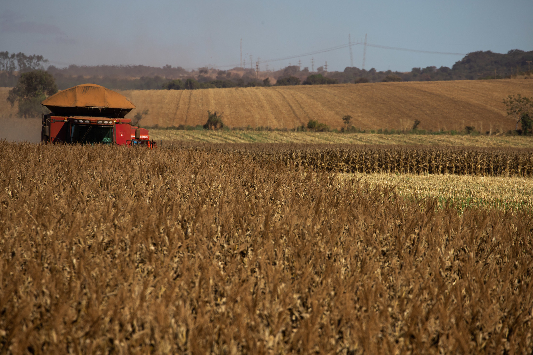 VBP Agropecuário de Goiás deve chegar a 108,8 bilhões em 2022