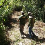 Semad autua responsáveis por degradação no Parque Estadual dos Pirineus