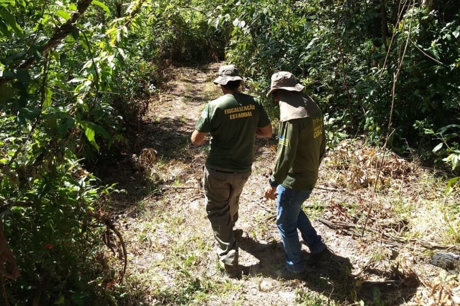 Semad autua responsáveis por degradação no Parque Estadual dos Pirineus