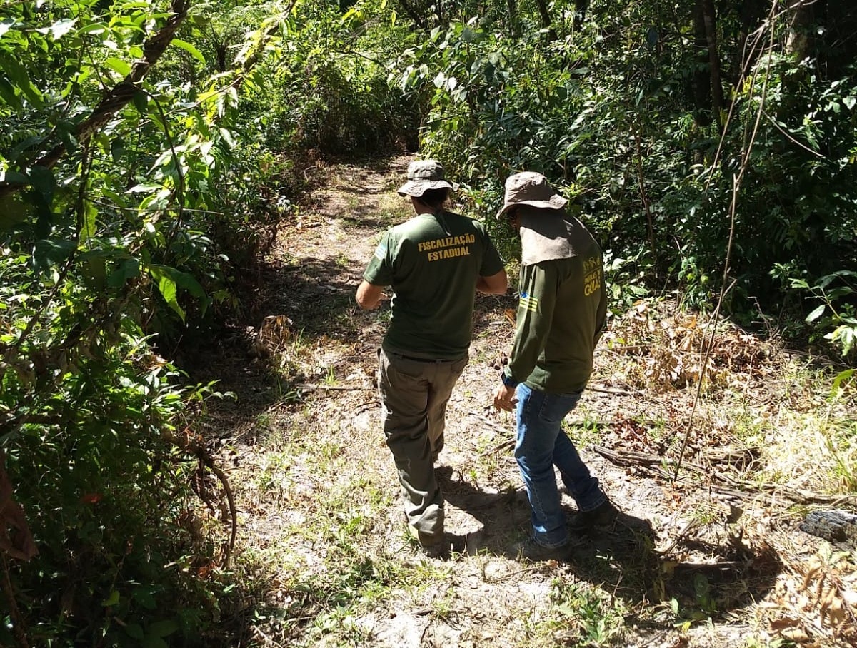 Semad autua responsáveis por degradação no Parque Estadual dos Pirineus