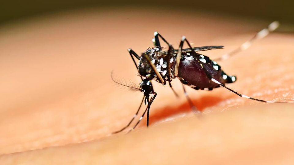 Corpo de Bombeiros de Goiás participa do Dia D de combate ao Aedes