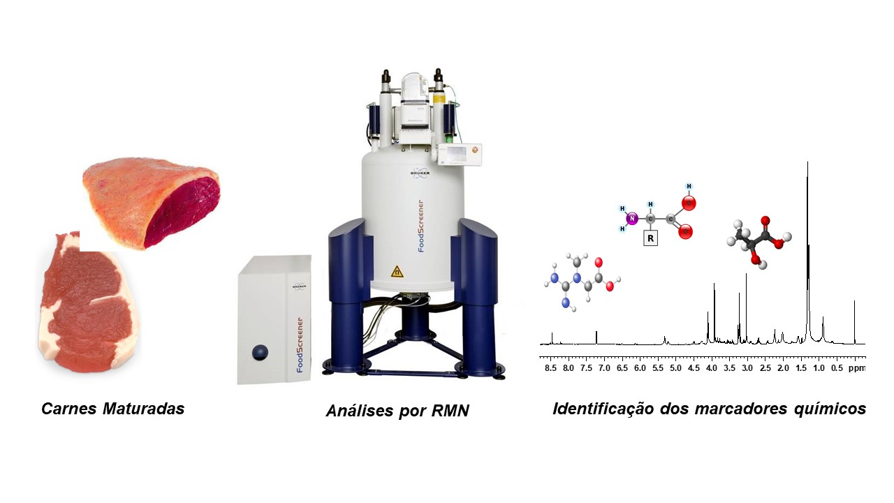Fapeg apoia estudo que avalia qualidade da carne bovina submetida a processos de maturação