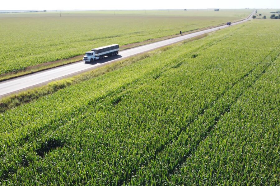 Entregue pavimentação da Estrada Velha de Caiapônia e autorizadas obras na GO-180