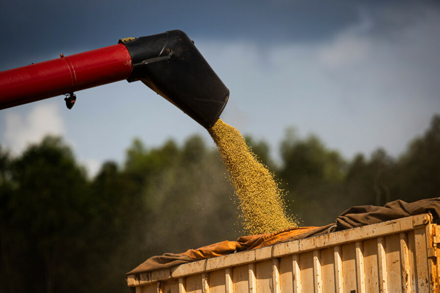 Agronegócio goiano soma US$ 1,1 bilhão em vendas externas em abril