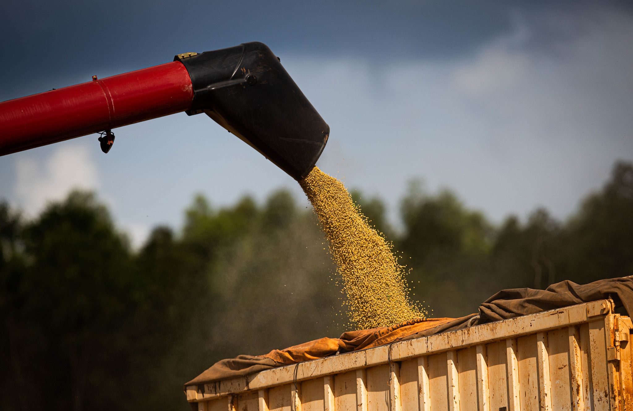 Agronegócio goiano soma US$ 1,1 bilhão em vendas externas em abril