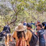 Estudantes de escolas estaduais participam de trilhas na Chapada dos Veadeiros