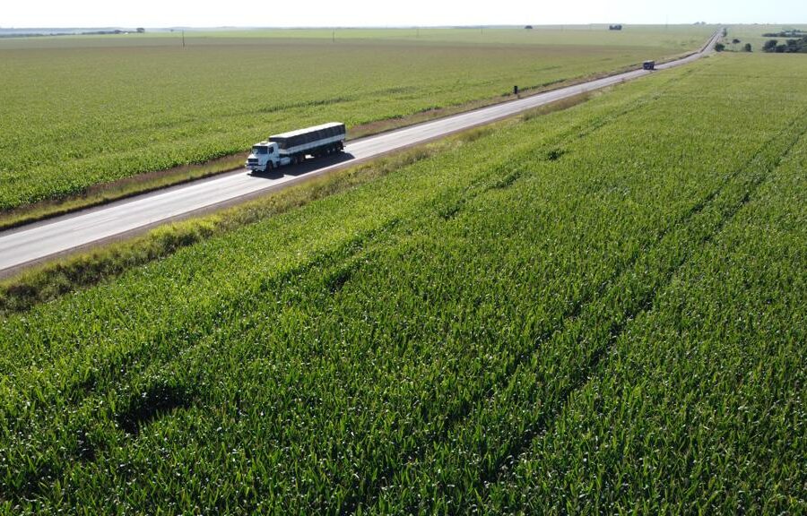 Governo entrega pavimentação da Estrada Velha de Caiapônia e autoriza obras em Jataí