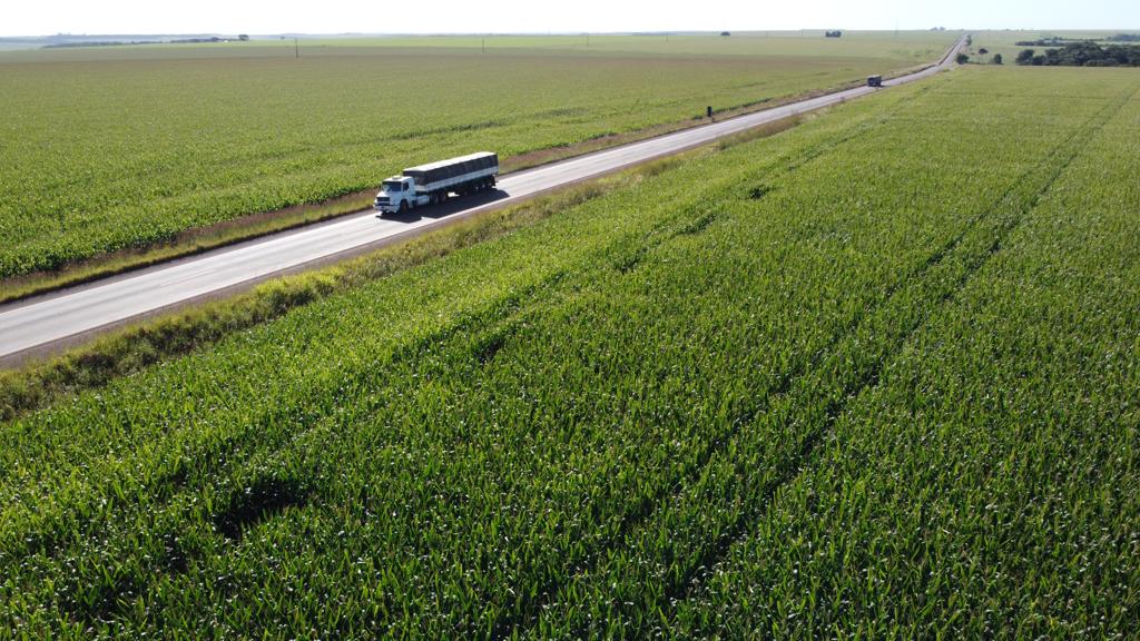 Governo entrega pavimentação da Estrada Velha de Caiapônia e autoriza obras em Jataí