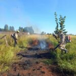 Corpo de Bombeiros Militar lança Operação Cerrado Vivo 2022