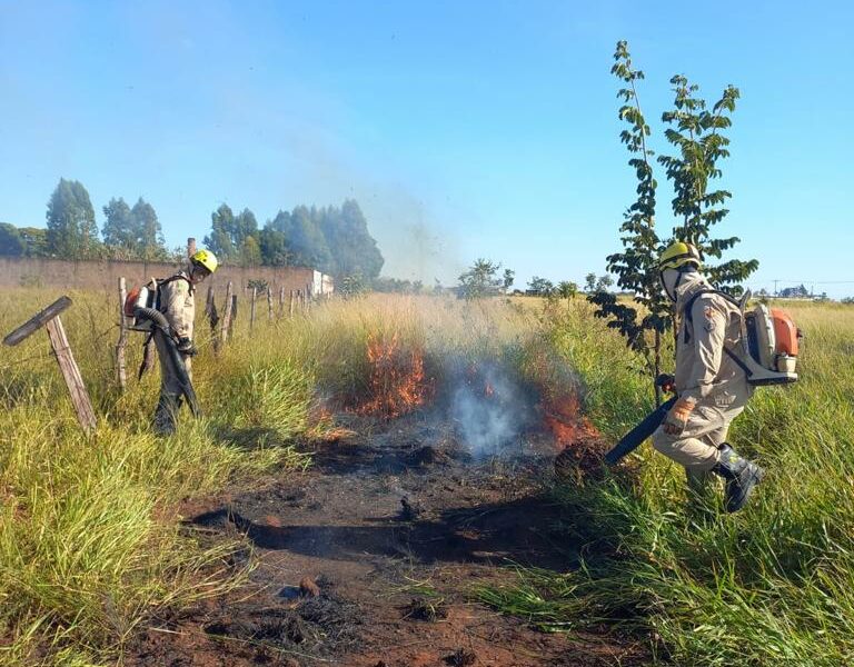 Corpo de Bombeiros Militar lança Operação Cerrado Vivo 2022
