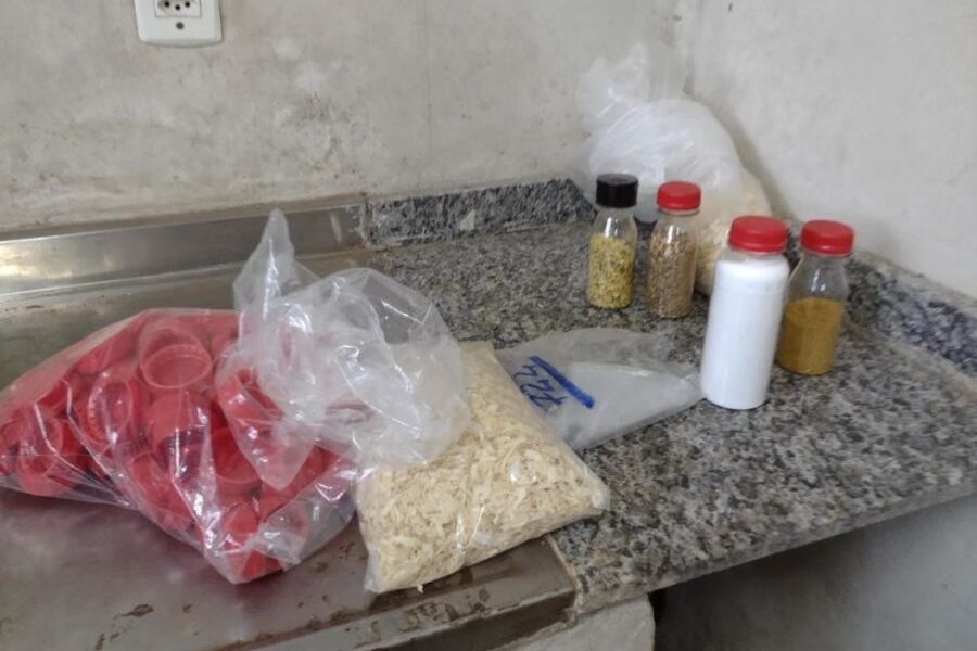Polícia apreende meia tonelada de alimentos em fábrica clandestina de temperos