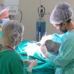 HCN realiza primeira captação de órgãos para transplante