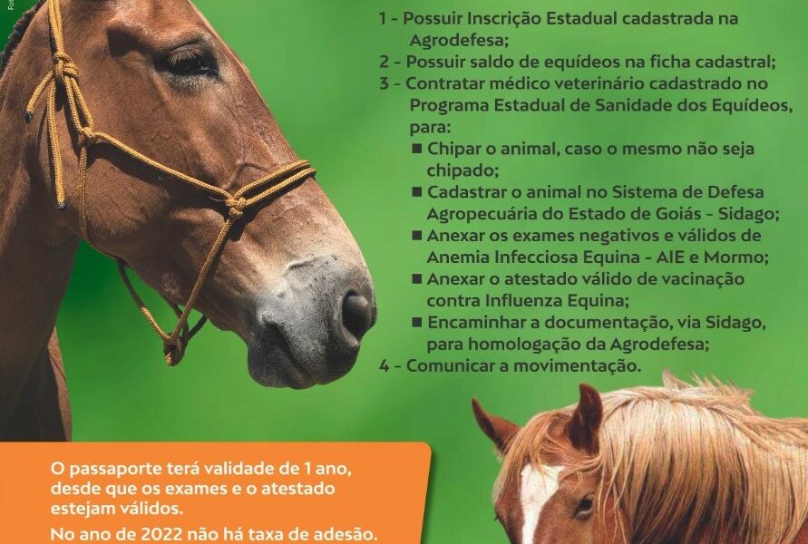Agrodefesa intensifica divulgação do Passaporte Equestre
