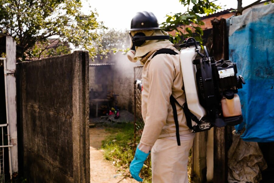 Municípios apresentam ações contra o Aedes aegypti