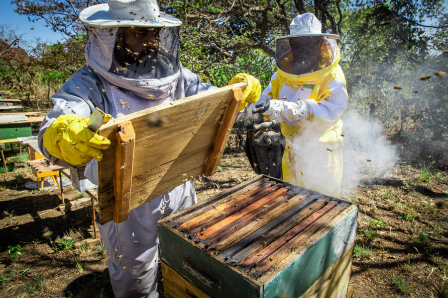 Benefícios do projeto Agro é Social chegam a Flores de Goiás