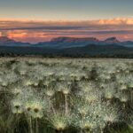 Goiás Turismo lança edital para construção de mirante na Chapada dos Veadeiros