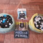 Servidores da UPR de Jataí evitam a entrada de drogas no presídio