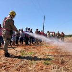 Dia D de Prevenção a Incêndios na Zona Rural leva informação a cinco municípios