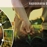 Radiografia do Agro traça panorama de 47 cadeias produtivas