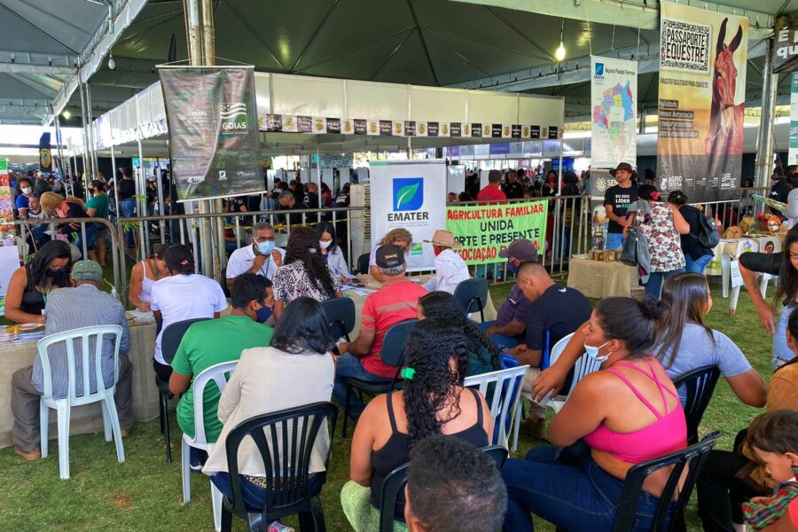 Estande do Agro estará presente no Mutirão Governo de Goiás