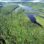 Reunião virtual esclarecerá dúvidas para submissão de propostas à Chamada Iniciativa Amazônia +10