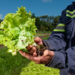 Semana Estadual da Agricultura Familiar começa na quarta