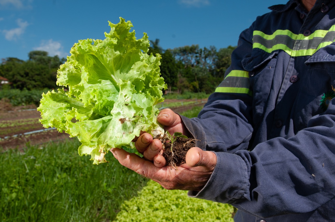 Semana Estadual da Agricultura Familiar começa na quarta