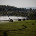 Autorizados R$ 181 milhões em financiamentos do FCO Rural para Goiás