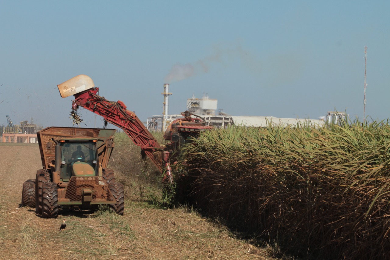 Conab estima que Goiás seja o 2º maior produtor de cana-de-açúcar na safra 2022/23