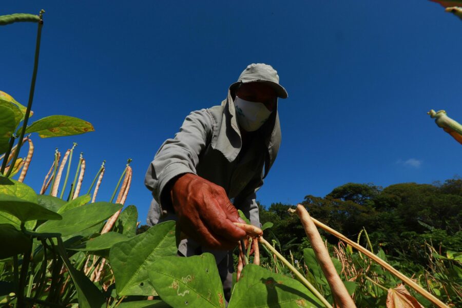 Agro goiano registra saldo positivo de 11 mil vagas formais de trabalho no primeiro semestre do ano