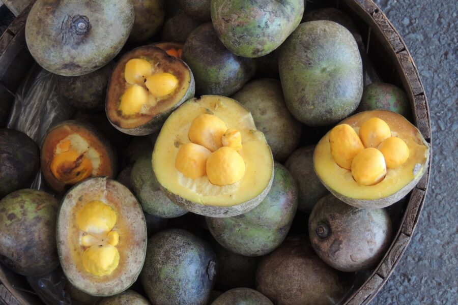 Extração de pequi cresce 8,1% em Goiás