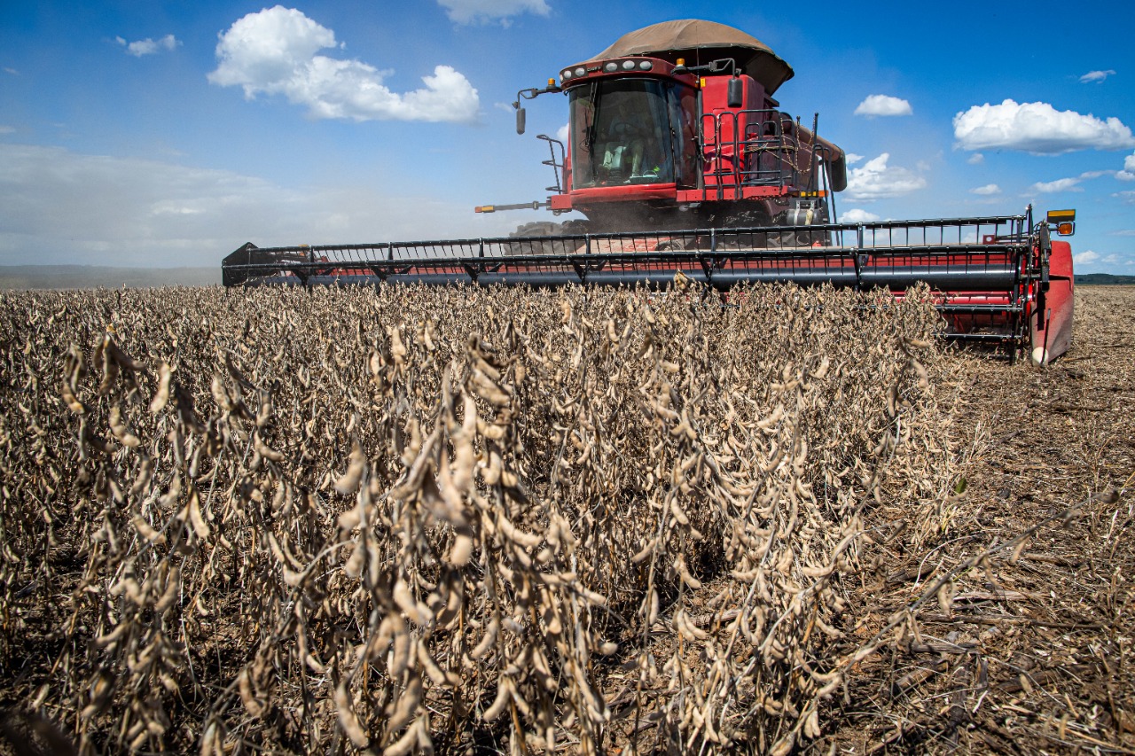 Goiás tem alta recorde no valor da produção agrícola em 2021