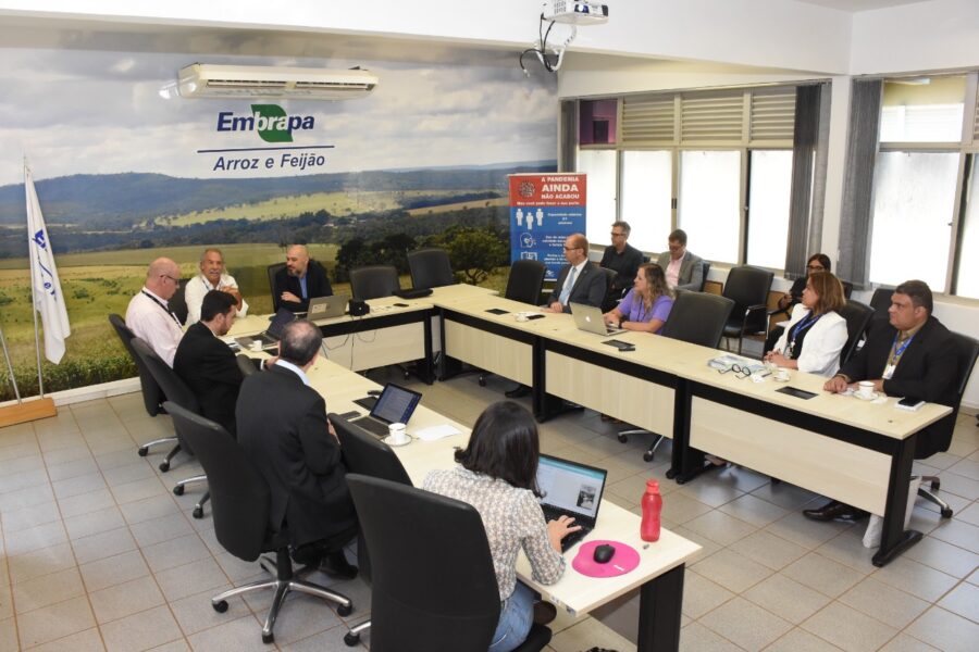 Fapeg cria fundo de desenvolvimento científico, tecnológico e de inovação
