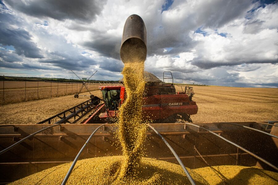 Agropecuária em Goiás deve fechar 2022 com Valor Bruto de Produção recorde