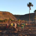 Em 2022, focos de incêndios florestais em parques caem 80% em Goiás