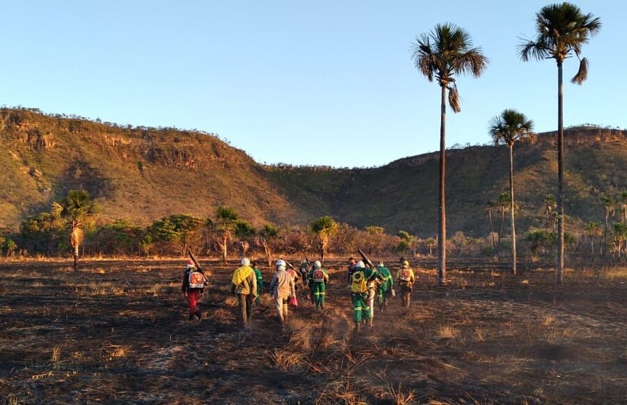 Em 2022, focos de incêndios florestais em parques caem 80% em Goiás