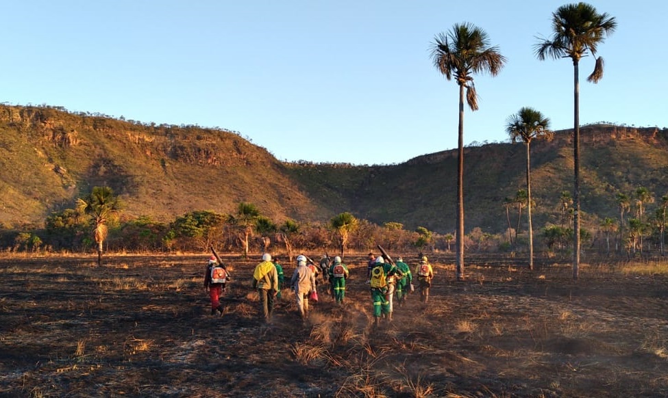 Em 2022, focos de incêndios florestais em parques caem 80% em Goiás