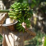 Agricultura familiar será isenta do Fundo de Infraestrutura