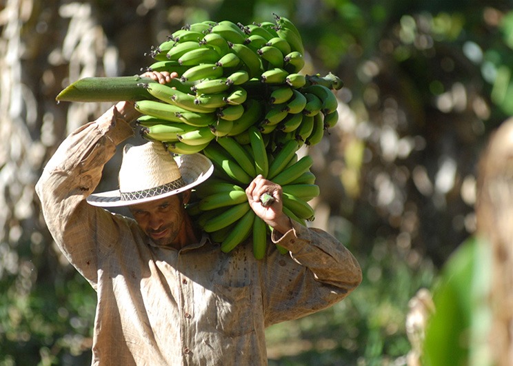 Agricultura familiar será isenta do Fundo de Infraestrutura