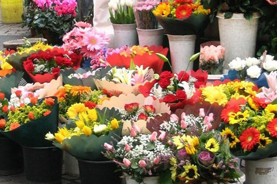 Pesquisa do Procon: flores registram variação de até 233% na véspera de Finados